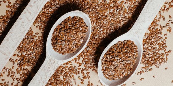 Nutritivni sastav lanenih sjemenki